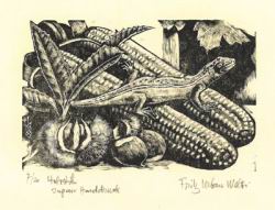 1962scanlizard.jpg