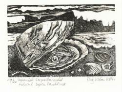 1964weltimussel.jpg