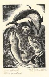 1971scandolphins.jpg